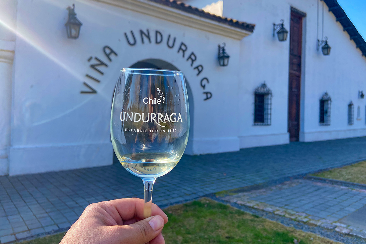 Viña Undurraga