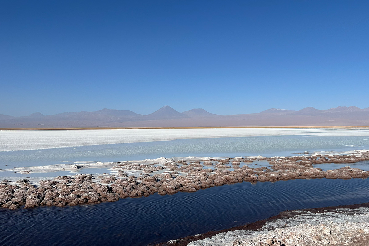 Laguna Cejar, Ojos del Salar y Laguna Tebinquinche - Imagen 2