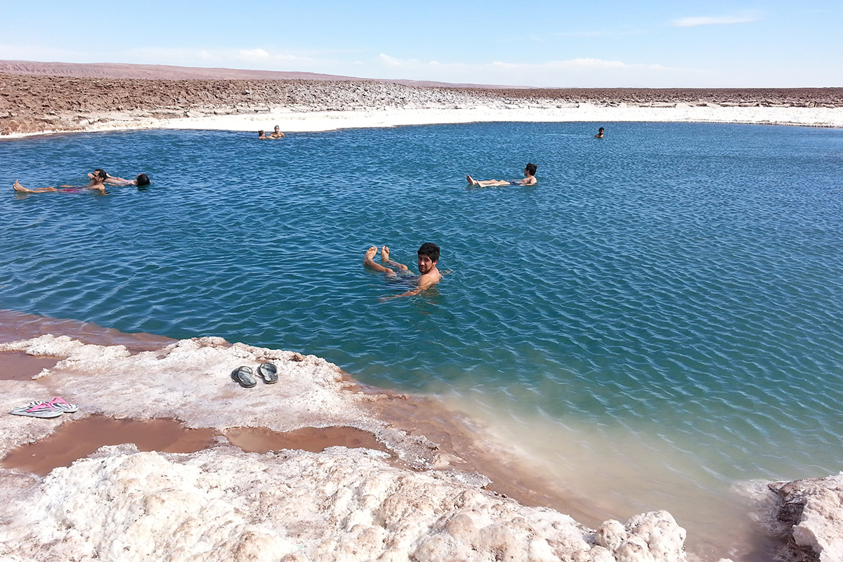 Laguna Cejar, Ojos del Salar y Laguna Tebinquinche