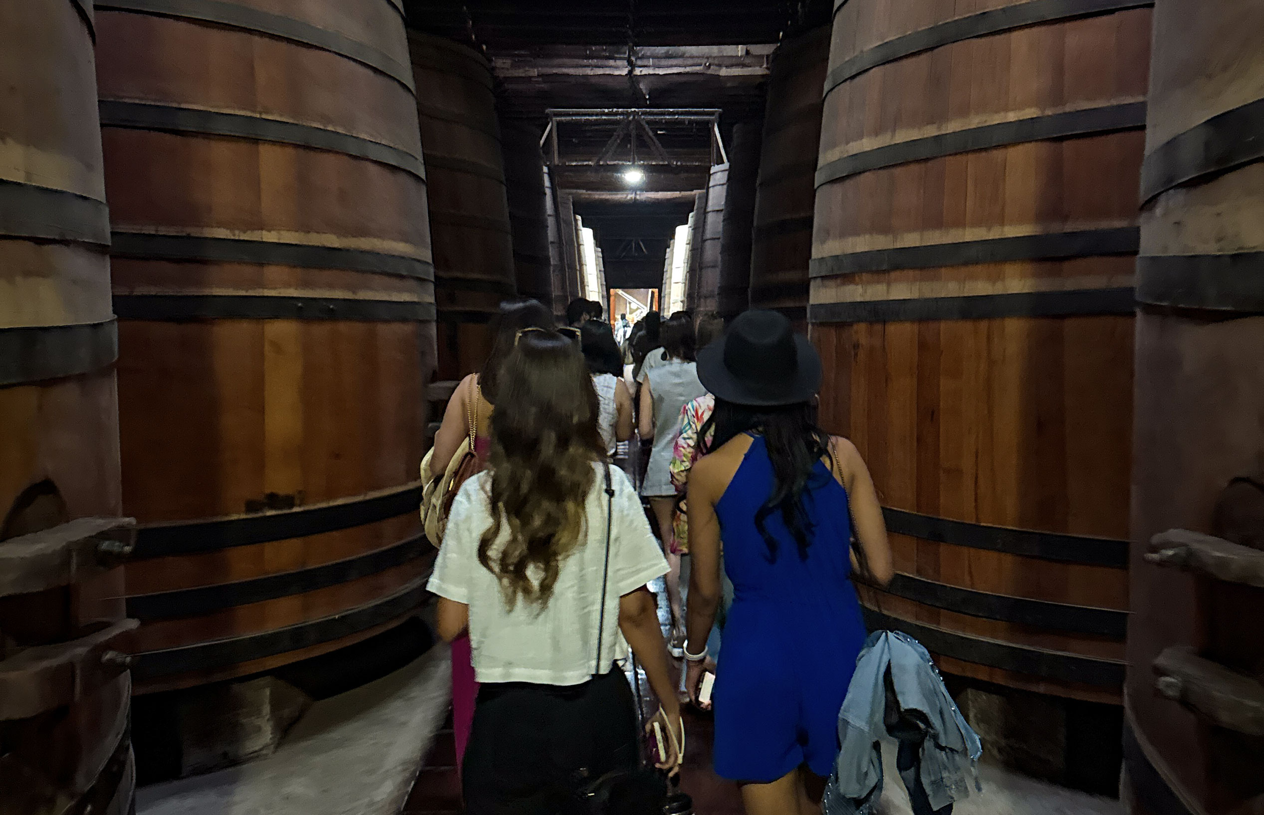 Viña Cousiño Macul