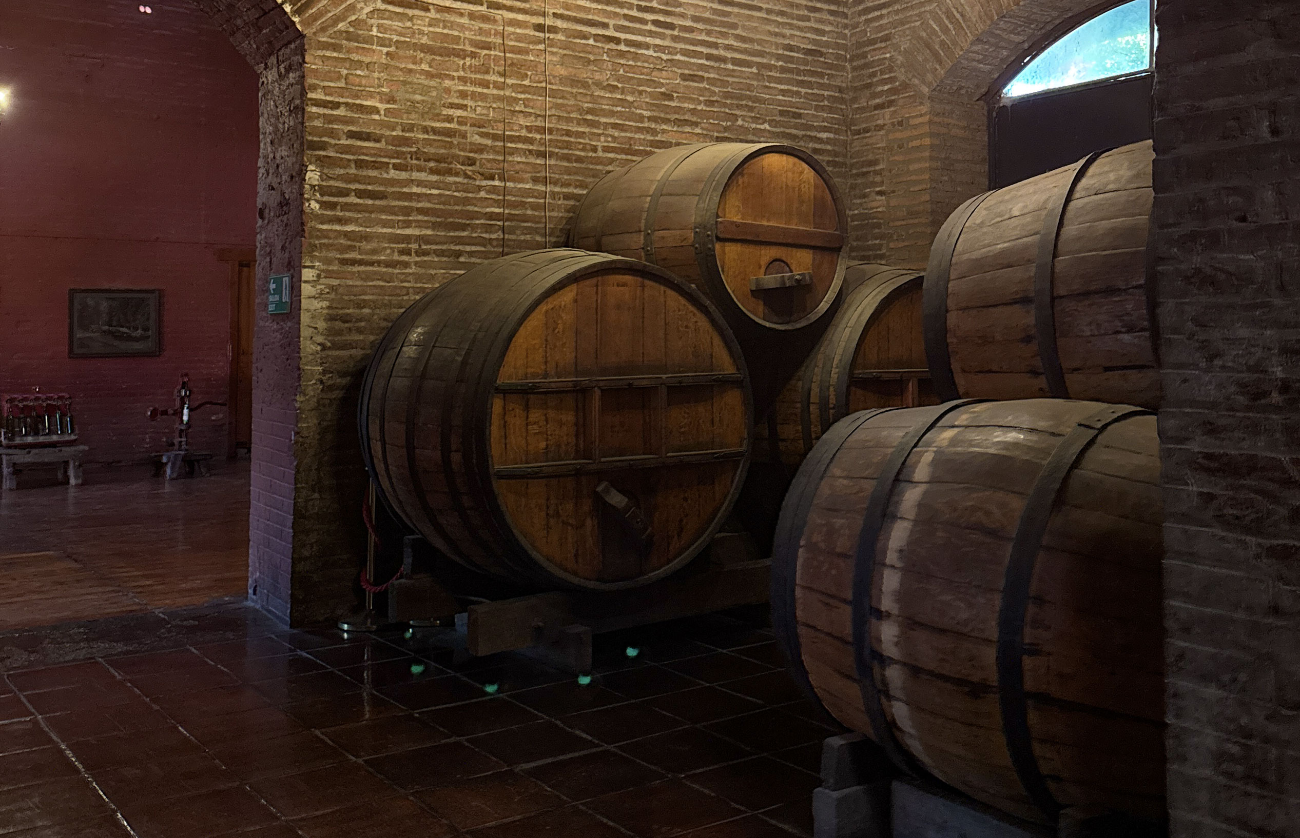 Viña Cousiño Macul - Imagen 3