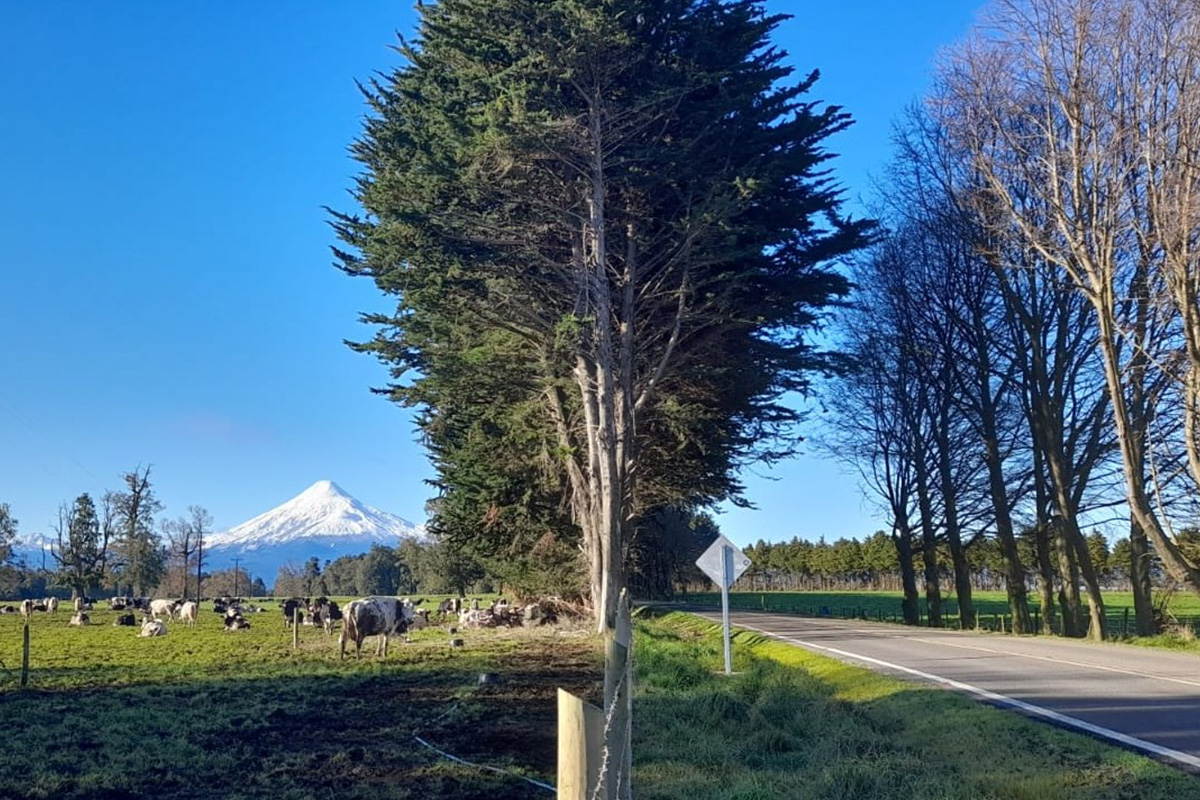 Frutillar & Puerto Octay - Imagen 3