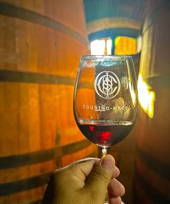 Alternative view of Half Day Viñedo