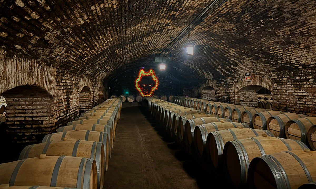 Viña Concha y Toro Premium - Imagen 3