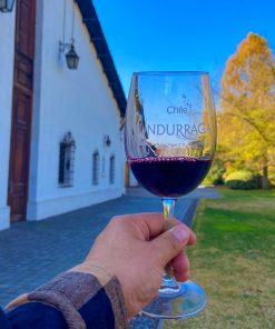 Santiago & Viñedo: Traslados + City Tour + Experiencia en Viñedo