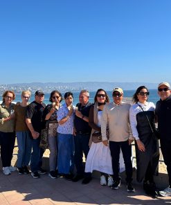 Alternative view of Santiago & Costa del Pacífico: Traslados + City Tour + Viña del Mar y Valparaíso