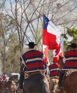 Fiesta de la Chilenidad