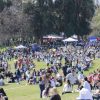 Fiesta de la Chilenidad - Imagen 3